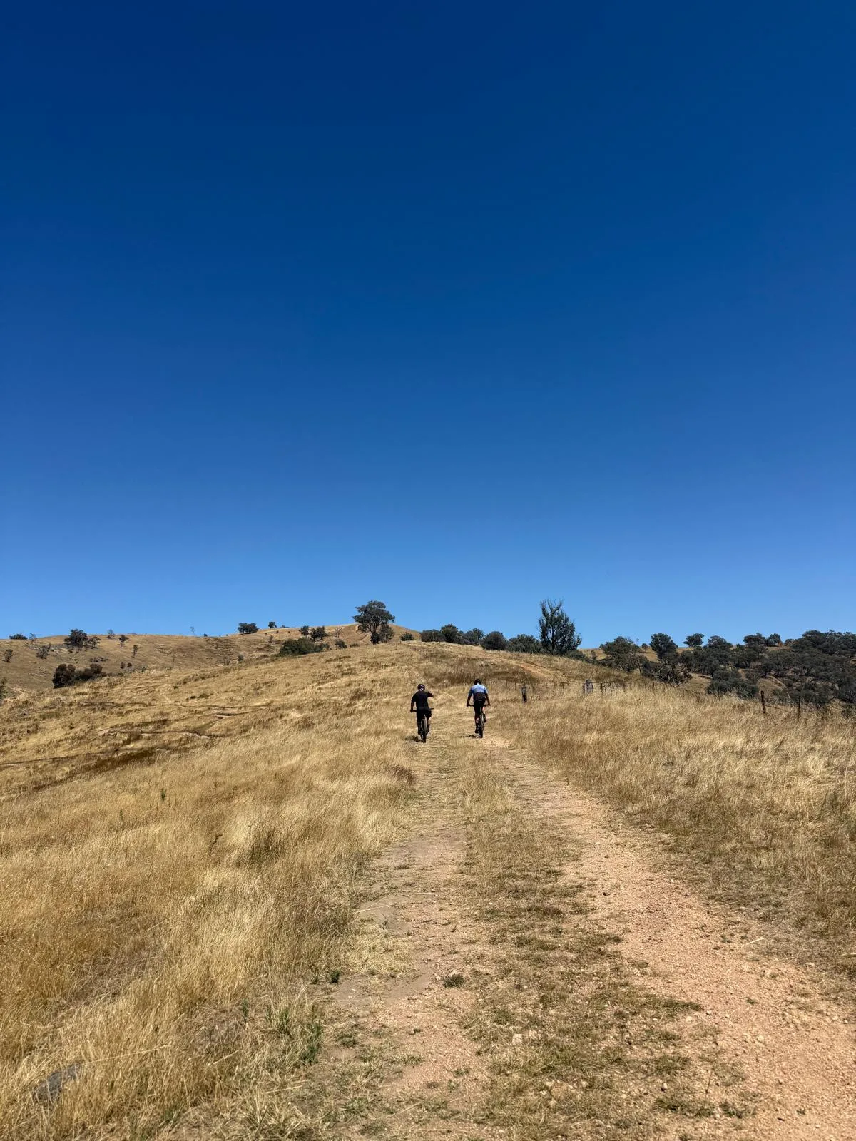 Hunchback Hill MTB Park MTB trail in High Country / North East, VIC