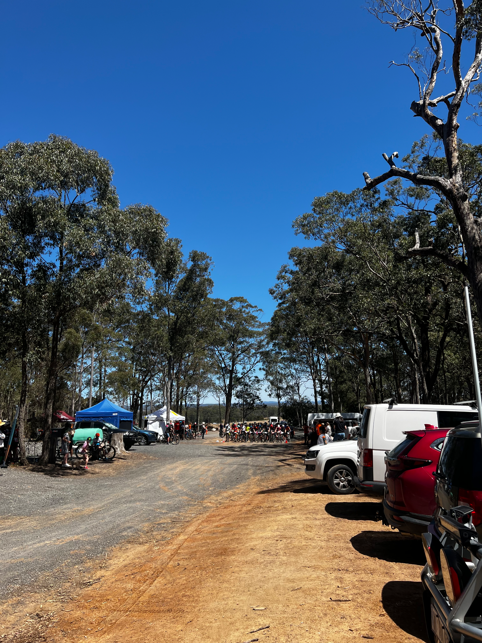 Coondoo — MTB in Shoalhaven, NSW
