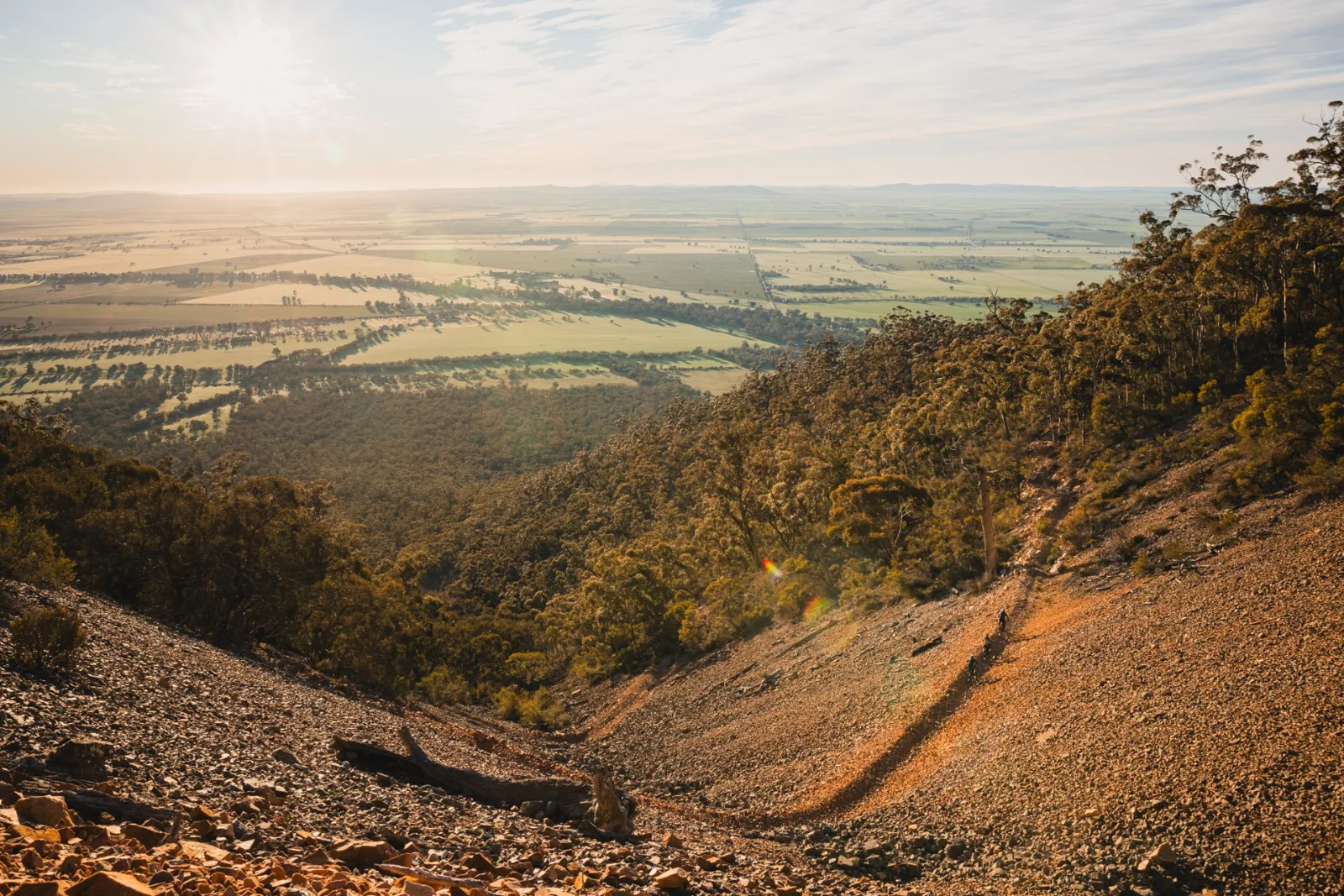 Willowie Forest Trails — MTB in Southern Flinders Ranges, SA