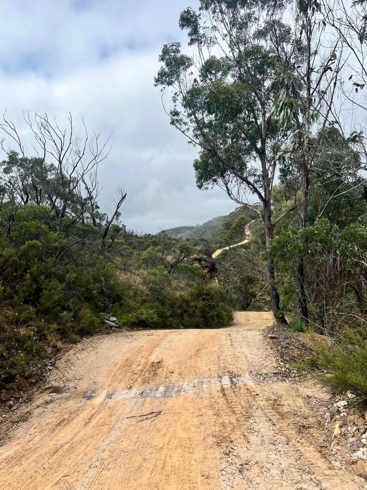 Narrow Neck Fire Trail Gravel trail in Blue Mountains / Katoomba, NSW