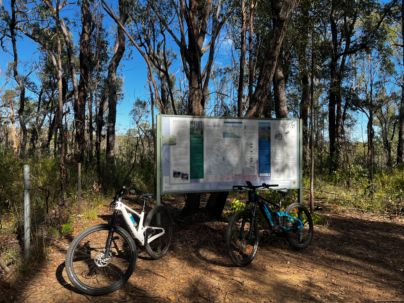 The Oaks Singletrack — MTB in Glenbrook National Park · Glenbrook National Park, NSW