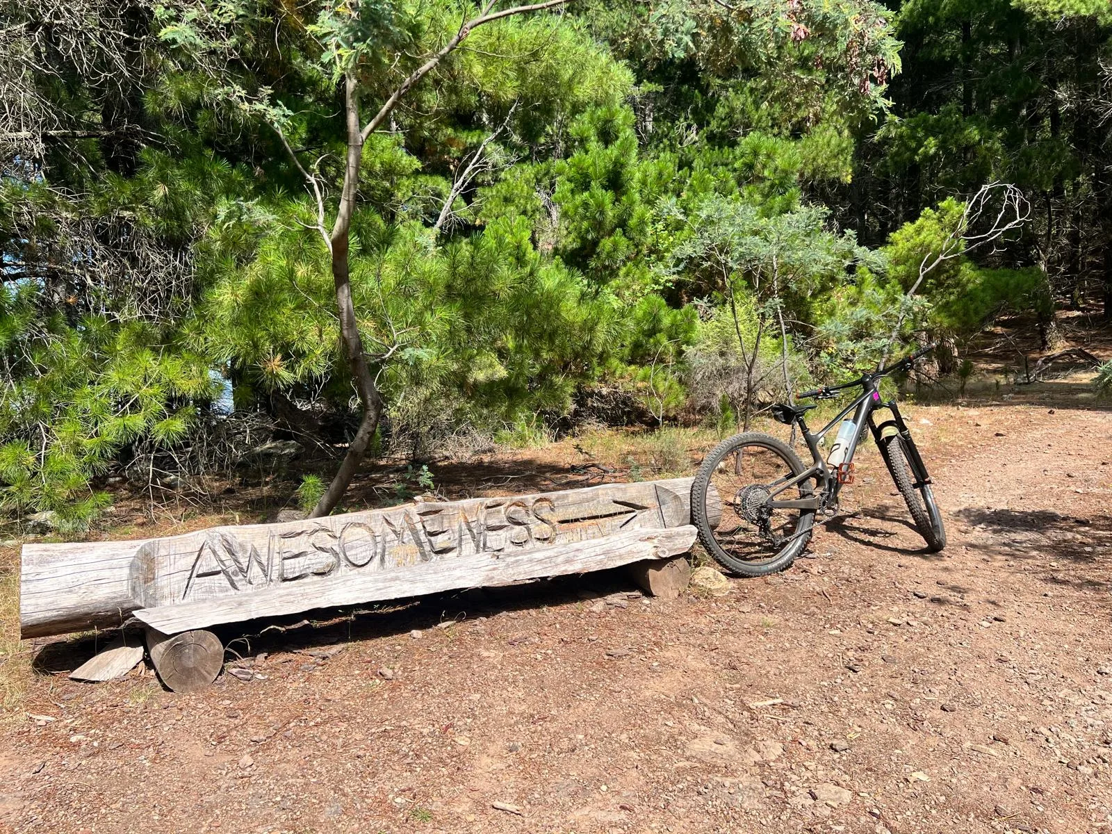 Glenwood Forest Trails — MTB, XC, Enduro, Flow in Central West, NSW