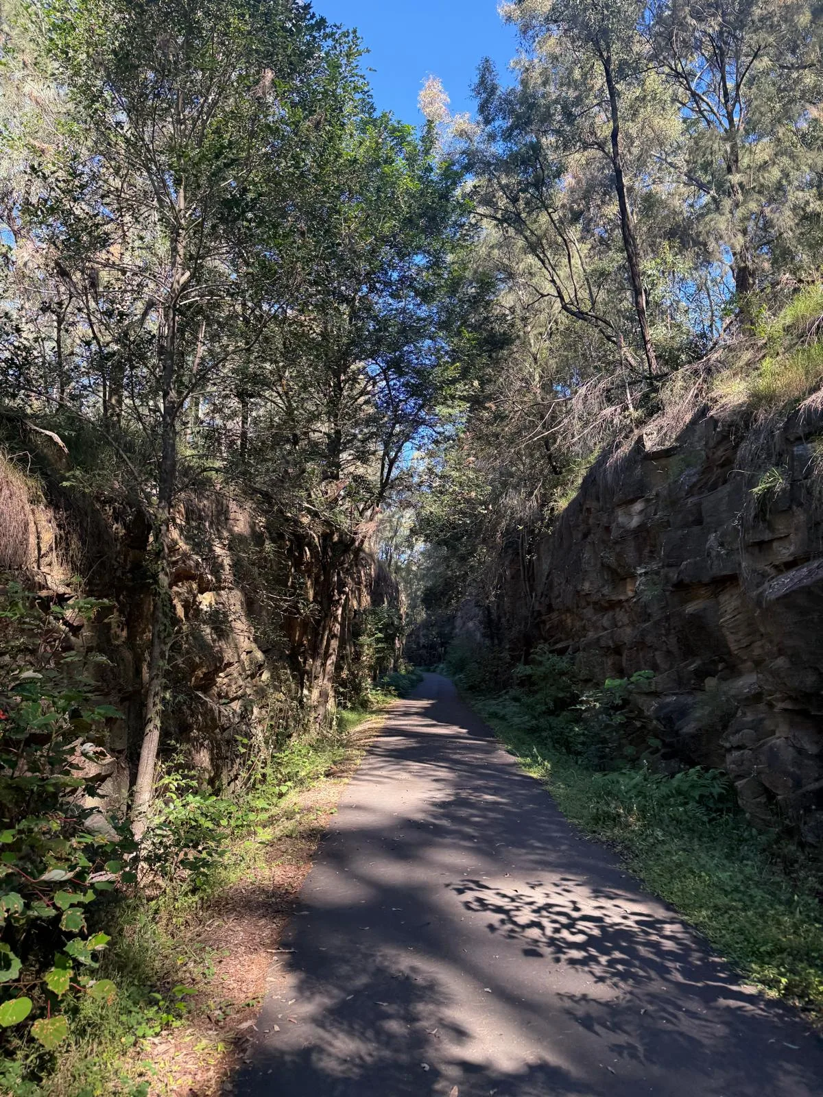 Lapstone Zig Zag rail trail Gravel trail in Lower Blue Mountains, NSW