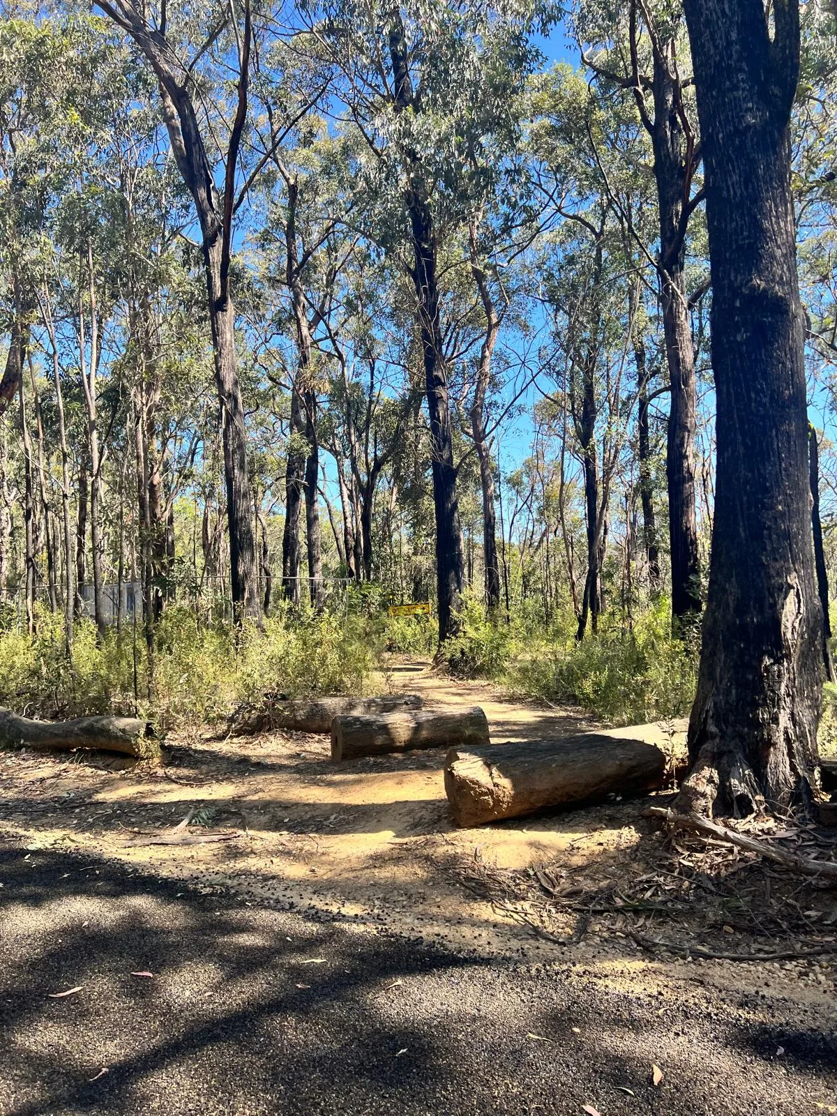 The Oaks fire trail (Woodford to Glenbrook) Gravel, MTB trail in Woodford-Glenbrook / Blue Mountains, NSW