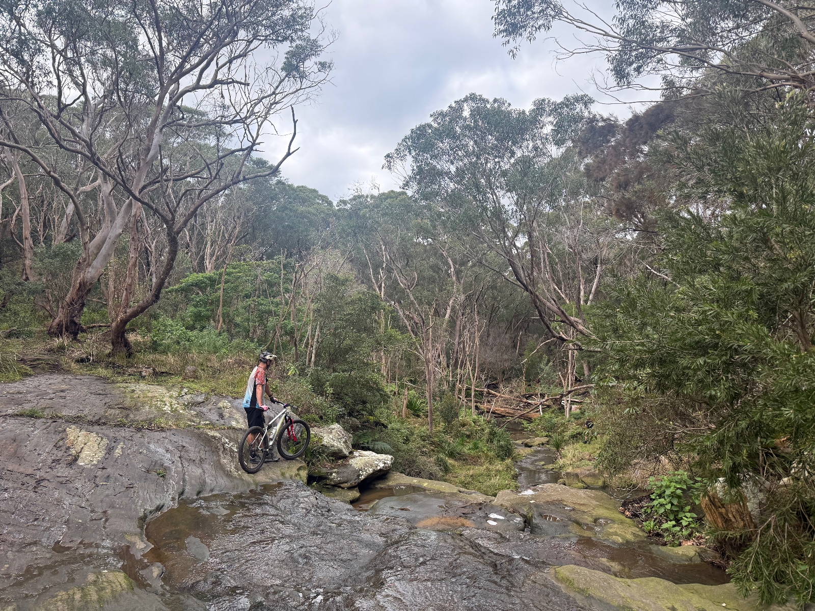 Loftus MTB Network — MTB in Sydney South, Royal National Park, NSW