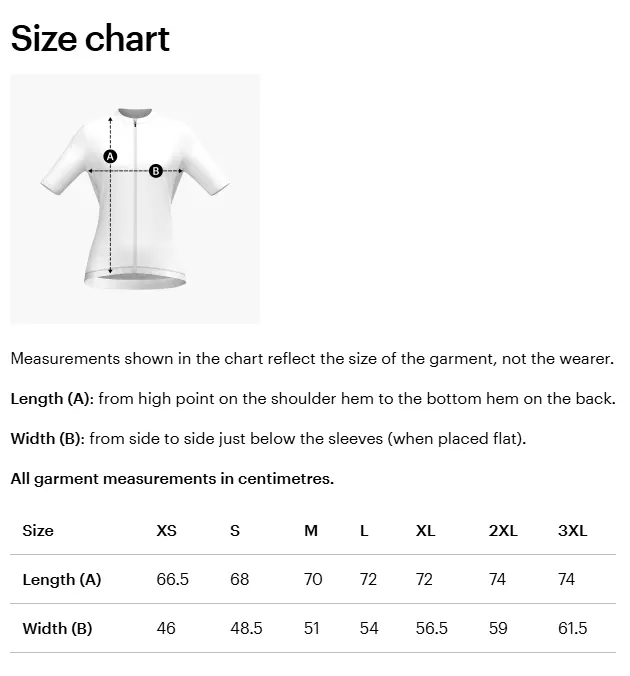 Ride the State Team jersey, women's cut, front