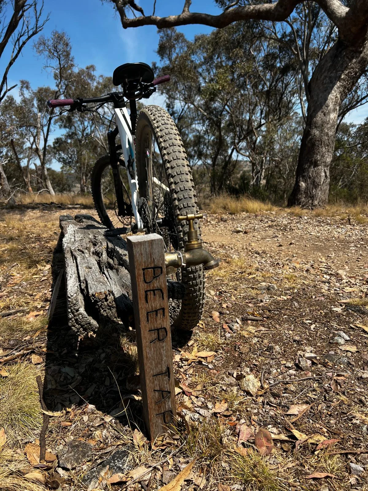 SportUNE Mtb Trails — MTB in New England, NSW