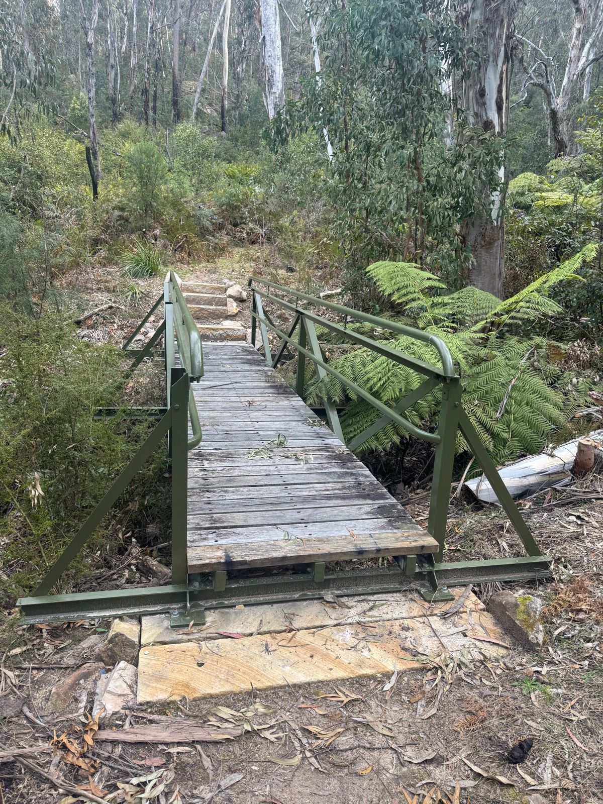 Lockyers & Lawsons Historic Loop — MTB in Mount Victoria / Blue Mountains, NSW