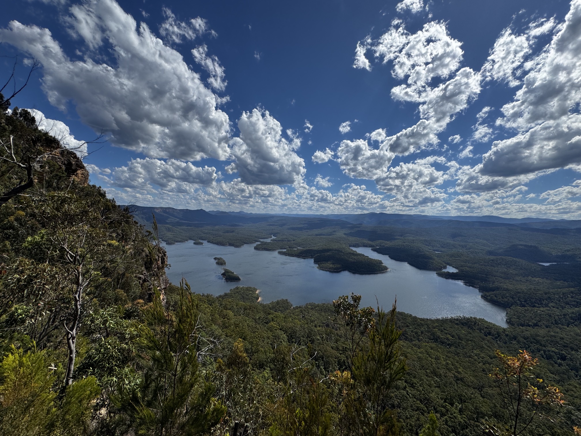 McMahons Point MTB trail in Wentworth Falls / Blue Mountains, NSW
