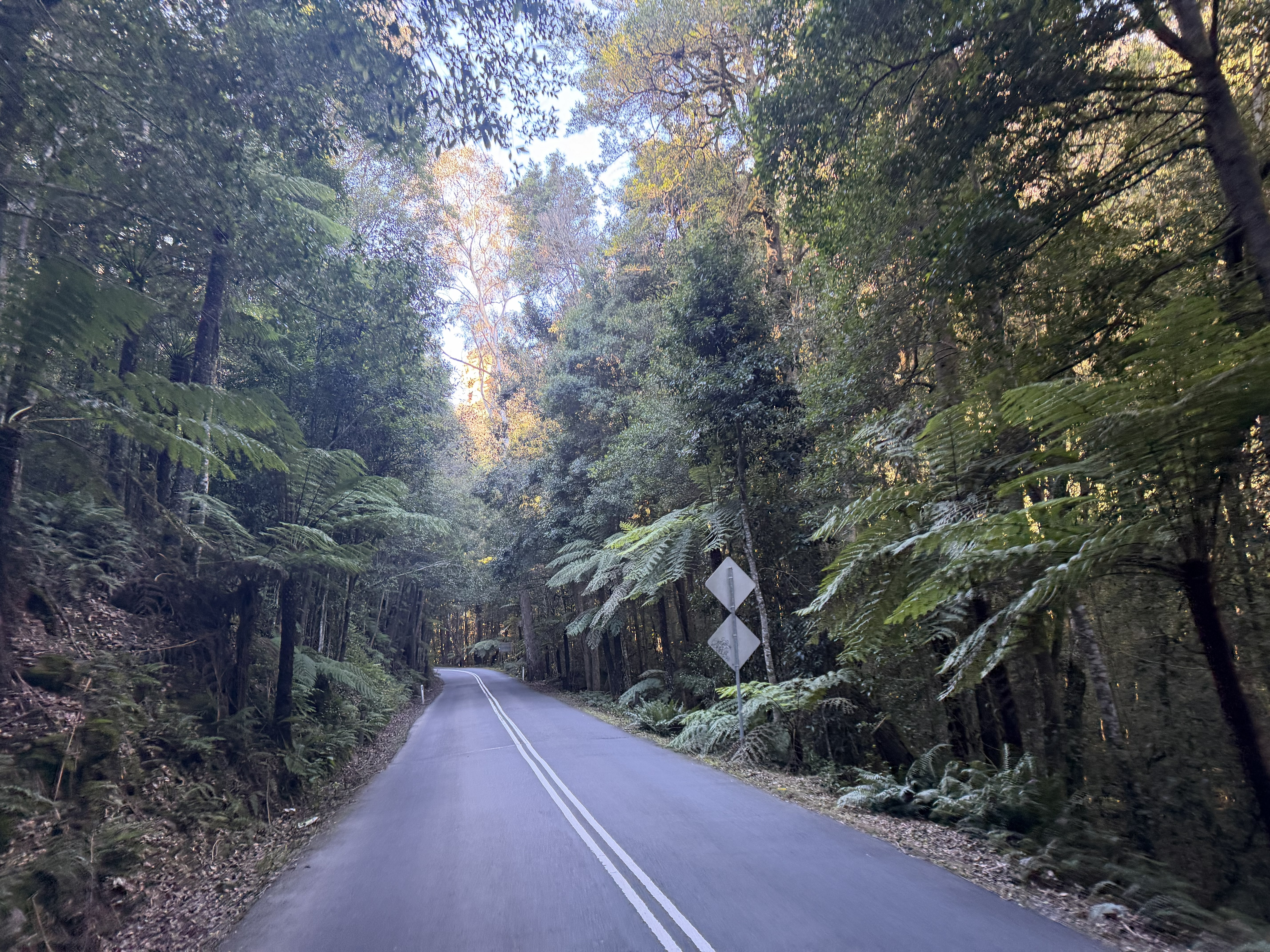 Megalong Valley Road trail in Blackheath, NSW