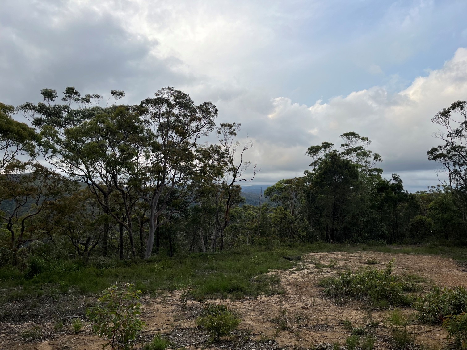 North Lawson Ridge Gravel trail in Queen's Road Firetrail, NSW